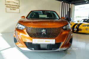 peugeot_0917_001
